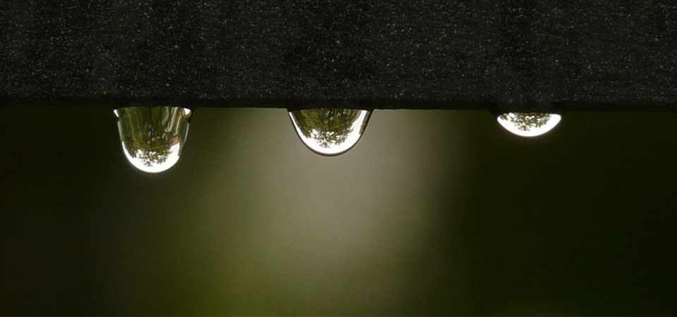 How To Prevent Leaks From Developing In Your Wooden Garden Shed